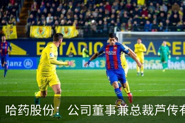 哈药股份：公司董事兼总裁芦传有被立案、实施留置